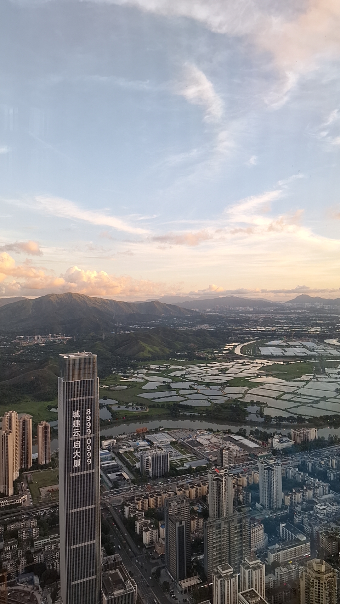 Skyscraper View of Shenzhen